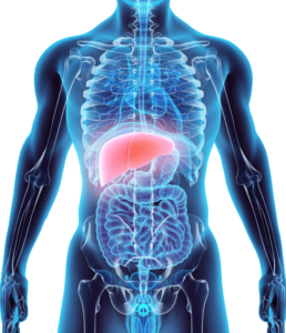 Resonancia magnética de Abdomen