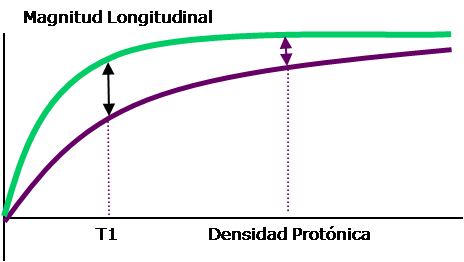 t1ydp El Mundo Resonancia Magnética